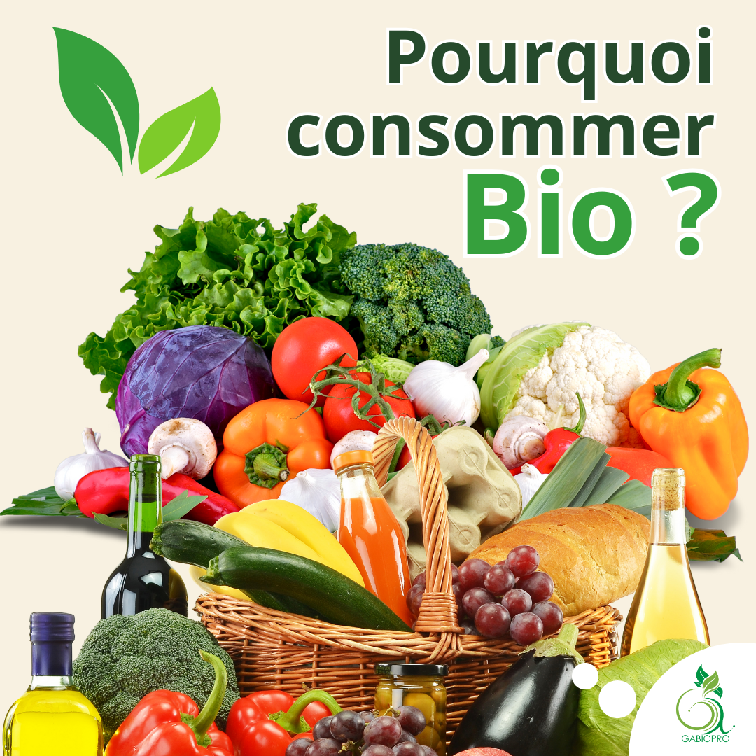 🌱 Pourquoi consommer bio ? Les bienfaits pour la santé et l’environnement