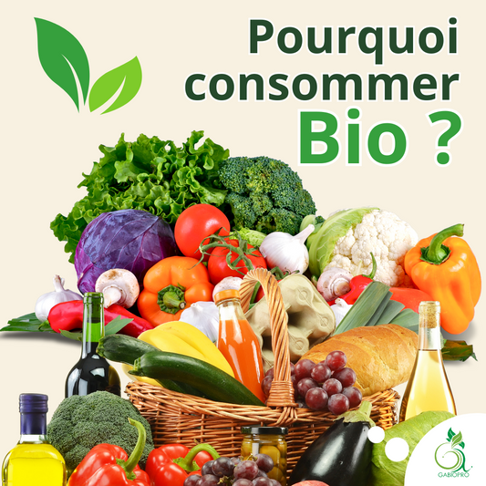 🌱 Pourquoi consommer bio ? Les bienfaits pour la santé et l’environnement