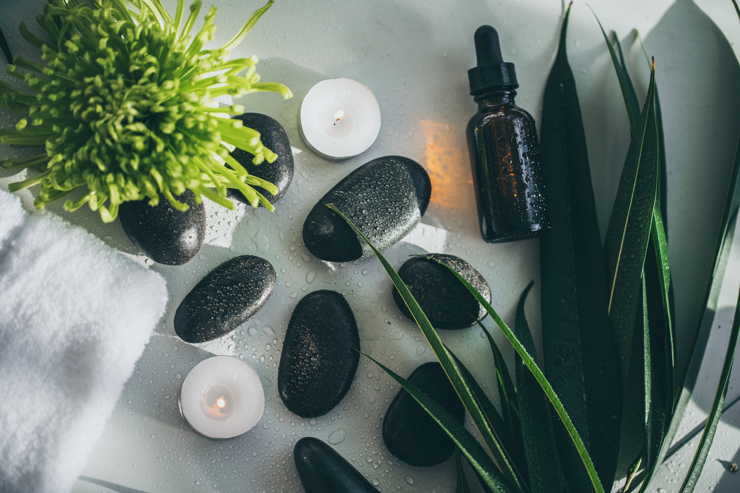 Bio Produits
